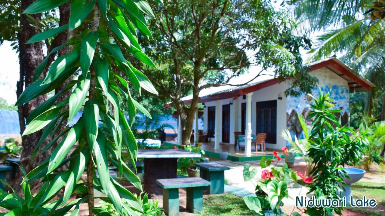 Niduwari Lake Homestay Dambulla Exterior photo